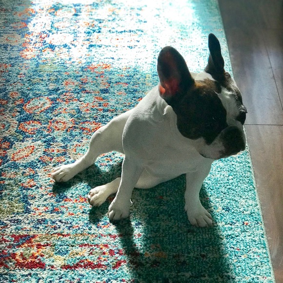 Happy Fall! - Picture 6 of 6